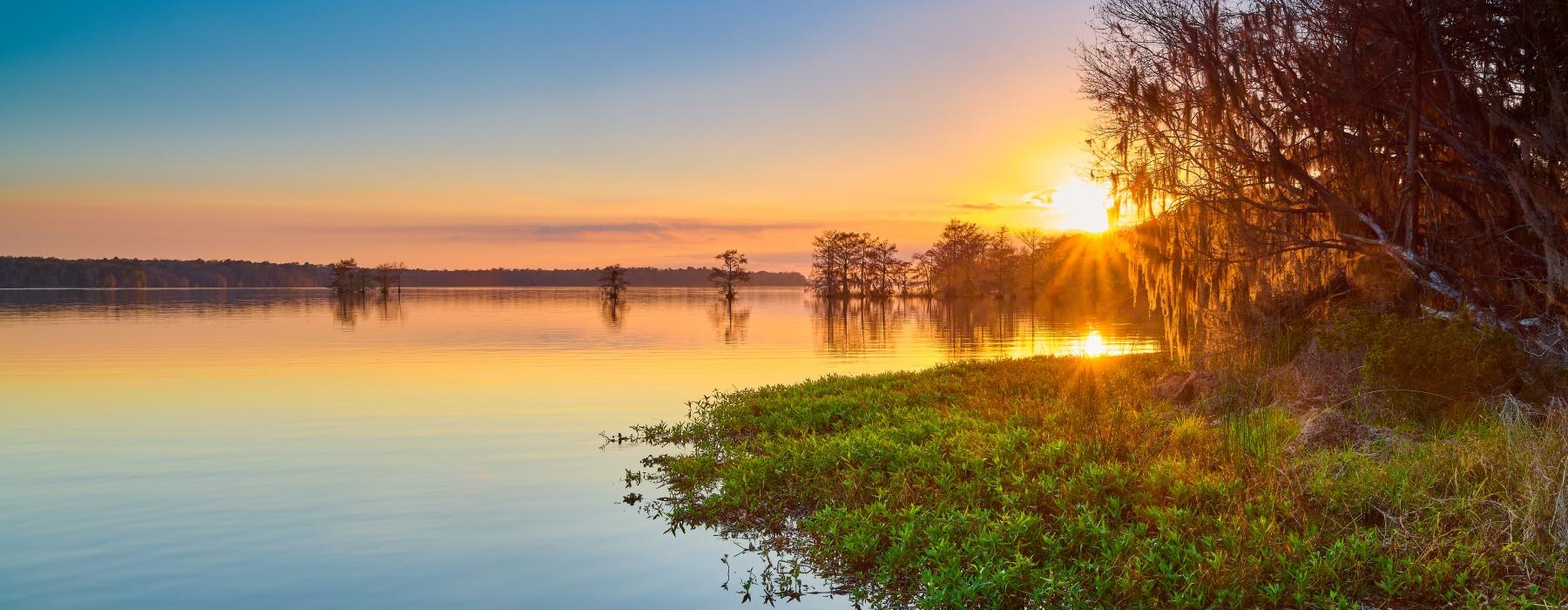 a body of water with trees and grass around it